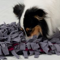 Dog Activity SNIFFING CARPET čichací koberec 50 x 34 cm  Interaktivní hračky pro psy