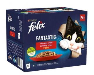 Felix cat kapsičky-Fant.Multipack mas.výběr v želé 24 x 85 g