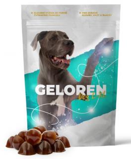 Geloren Dog L-XL dog žvýkací gelové tablety 60 tbl (420g)
