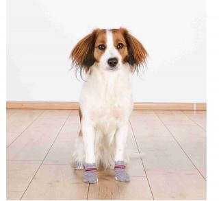 Protiskluzové šedé ponožky, 2 ks pro psy Velikost cm: XS-S (např. miniaturní pinč)
