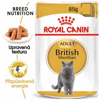 ROYAL CANIN British Shorthair Gravy 12 X 85 G  British Shorthair Gravy kapsička pro britské krátkosrsté kočky ve šťávě