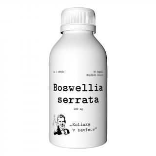 Boswellia serrata 1 měsíc
