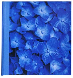 Fotoalbum Botanic modrý