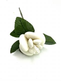Bohatá růže ROSA VELO GAMNO MEDIO s mandlemi Barva: Krémová / Ivory