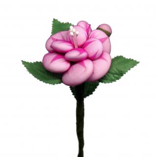 Bohatá růže ROSA VELO GAMNO MEDIO s mandlemi Barva: Růžová