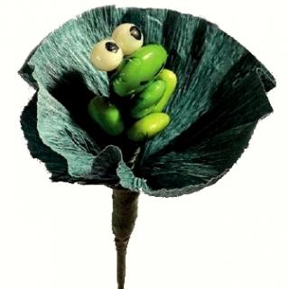 Žába Druh: Žabička na leknínovém listu