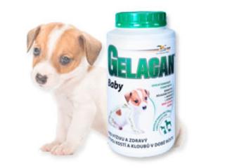 ORLING Gelacan Baby 1000g (ORLING Gelacan Plus Baby s Aquaminem 1000g)