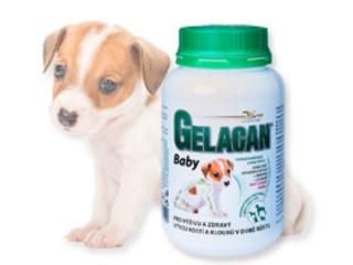 ORLING Gelacan Baby 150g (ORLING - Gelacan baby ochrana kloubů s Aquaminem 150g)