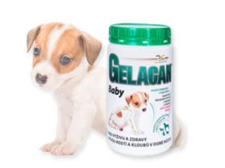 ORLING Gelacan Baby 500g (ORLING Gelacan Plus Baby s Aquaminem 500g)