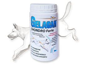 ORLING Gelacan Chondro Forte 500g