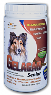 ORLING Gelacan Senior 500g