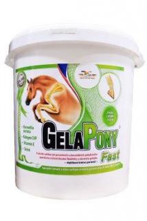 ORLING Gelapony Fast 10,8kg