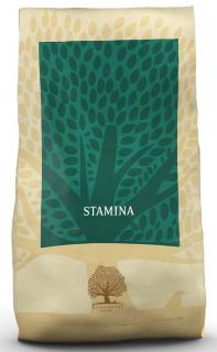 Essential Foods Stamina, hmotnost 10kg