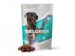 Geloren DOG L-XL kloubní výživa pro velké psy