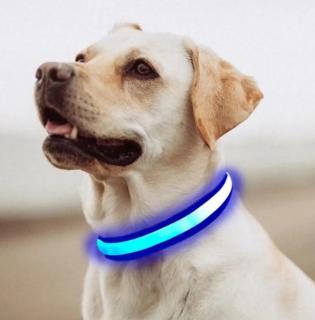 Reedog Flash USB svíticí obojek pro malé, střední a velké psy Svítící obojky: Modrá - L