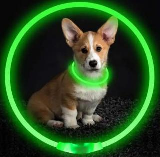 Reedog LED dobíjecí svítící obojek pro psy a kočky Barva: Zelená