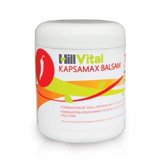 HillVital Kapsamax mast na ztuhlé svaly a klouby 250 ml (Ztuhlé svaly, polyneuropatie, fibromyalgie)