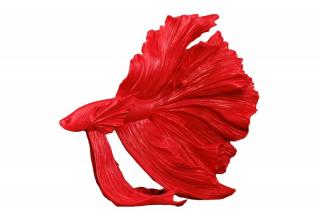 Červená dekorace Fisch Crowntail 35 cm