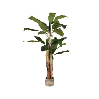 Umělá rostlina Home decoration Musa - Green - Plastic - 180