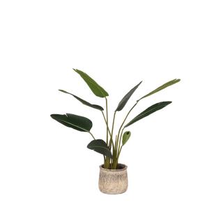 Uměla rostlina Home decoration Strelitzia - Green - Plastic - 100 cm