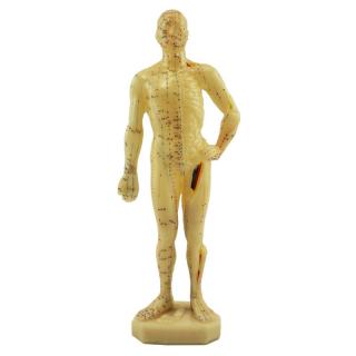 Akupunkturní model - muž 28cm