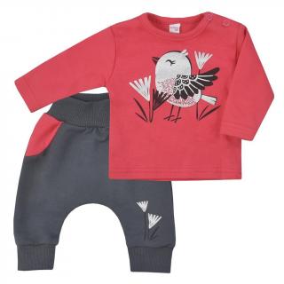 Kojenecké bavlněné tepláčky a tričko Koala Birdy tmavě růžové 56 (0-3m)