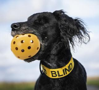 Děrovaný gumový míček s rolničkou, pro slepé pejsky - 7 cm, žlutý