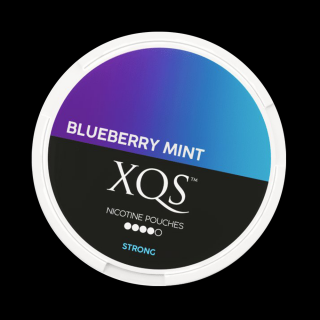 XQS BLUEBERRY MINT obsah nikotinu: 20 mg/g (10 mg/sáček)