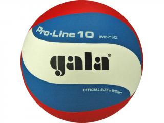 GALA Volejbalový míč Pro Line 10 - BV 5121 S
