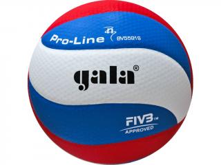 GALA Volejbalový míč Pro Line 10 - BV 5591 S