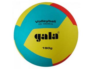 Volejbalový míč Gala Volleyball 12 BV 5545 S - 190g