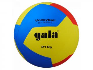 Volejbalový míč Gala Volleyball 12 BV 5555 S -210g