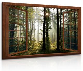 3D obraz dřevěné okno do lesa 120x80 cm