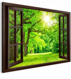 3D obraz okno pozitivní zeleň 90x60 cm