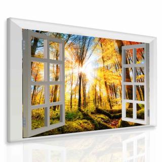 3D obraz okno ranní les 140x120 cm
