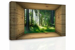 3D obraz výhled do lesa 120x80 cm