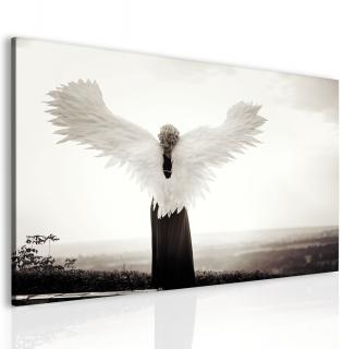 Obraz andělská křídla 80x50 cm