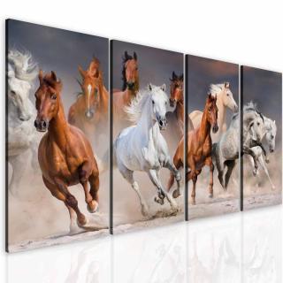 Obraz divocí koně 120x70 cm