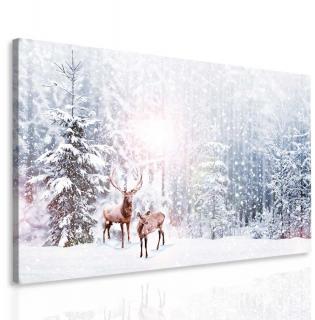 Obraz Jelen na sněhu 80x45 cm