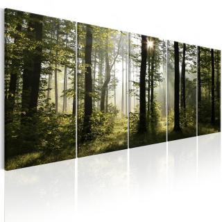 Obraz Lesní probuzení + háčky a hřebíčky ZDARMA 125x50 cm