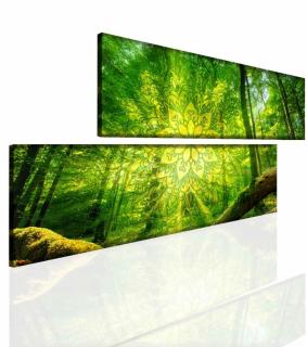 Obraz Mandala lesa 120x60 cm
