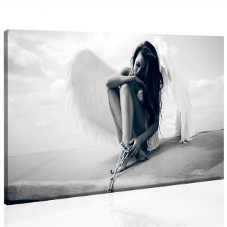 Obraz Padlý anděl 110x60 cm