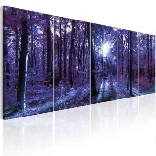 Obraz Ranní rozbřesk fialový + háčky, hřebíčky, čistící hadřík ZDARMA 125x50 cm