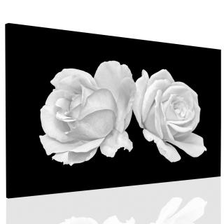 Obraz Růže 120x80 cm