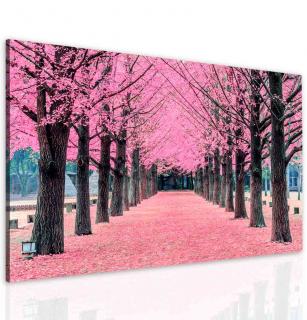 Obraz růžová alej 120x80 cm