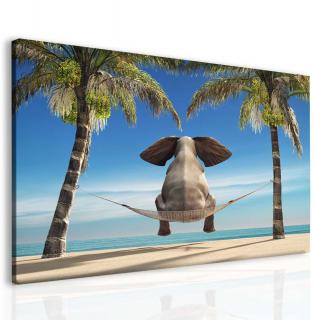 Obraz slon na pláži 40x30 cm