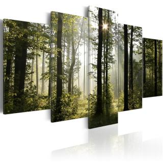 Pětidílný obraz les + háčky a hřebíčky ZDARMA 200x100 cm