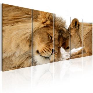 Pětidílný obraz Lvi + háčky a hřebíčky ZDARMA 150x60 cm