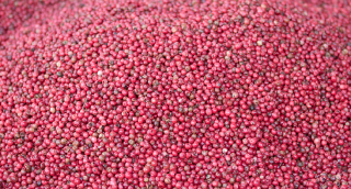 Růžový pepř jerky velikost balení: 250g