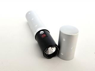 Paralyzér rtěnka USB - nabíjecí paralyzér pro ženy ve tvaru rtěnky, LED svítilna Barva: Stříbrná